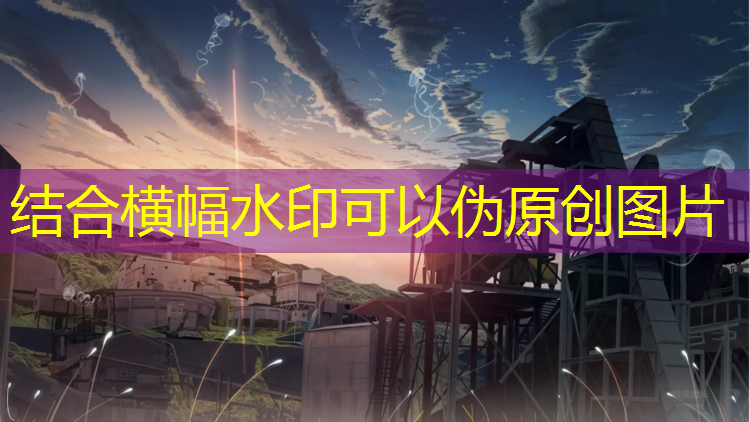 单只5kg哑铃算重