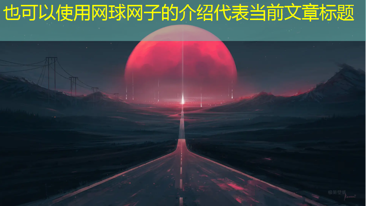 网球网子的介绍