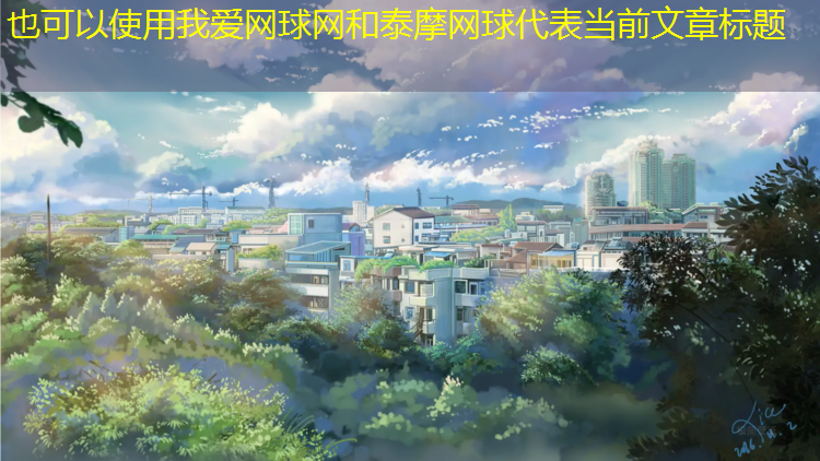 我爱网球网和泰摩网球