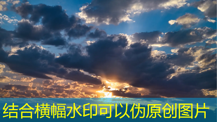 网球网校投诉