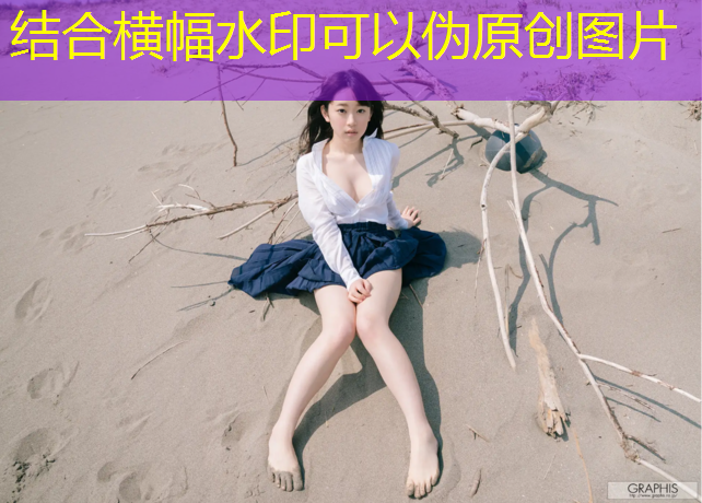 网球网子2003