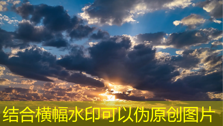 学校塑胶跑道参加展会