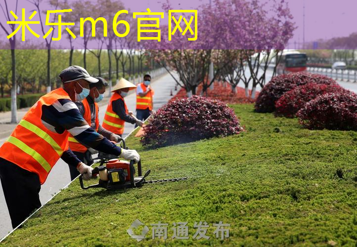 mile米乐m6官网：乒乓球台标准尺寸室内多高