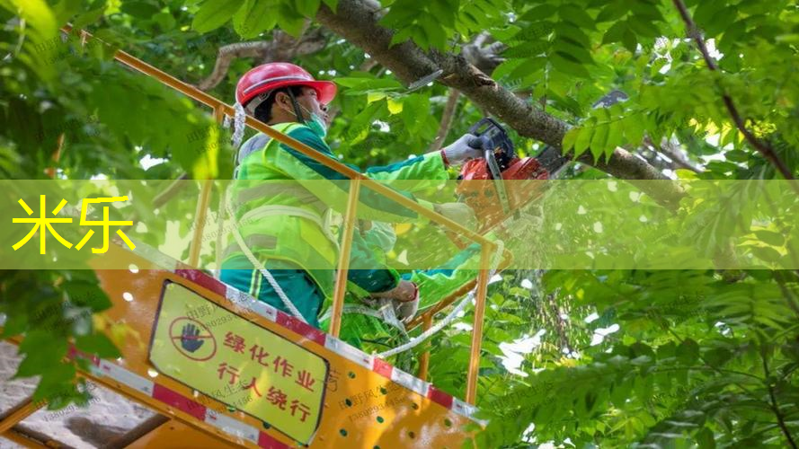 网球拍面104英寸是多少